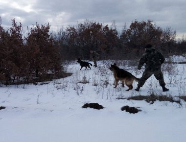 Τα λυκόσκυλα του Στρατού εν δράσει - Δείτε την εκπαίδευση στα χιόνια (φωτό)